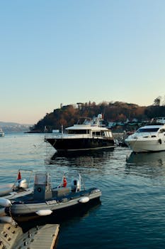 Elegant yachts anchored at a scenic marina during a bright day, offering serene coastal views.