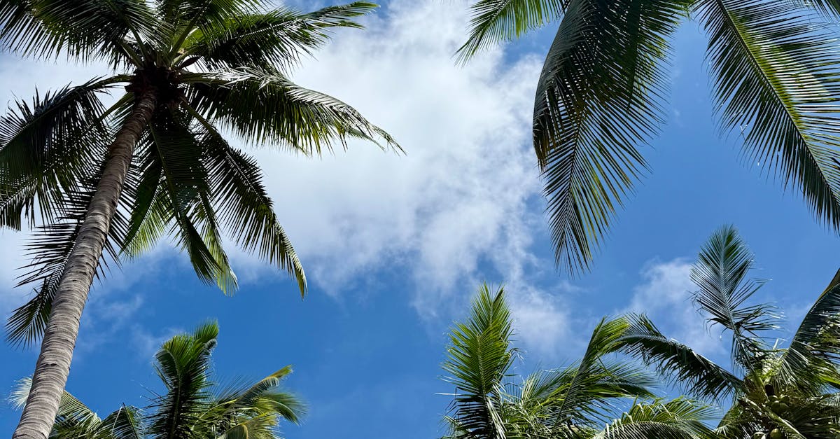 Photo by Anderson Wei Hawaii Businesses Await Governor's Decisions on Key Legislative Reforms