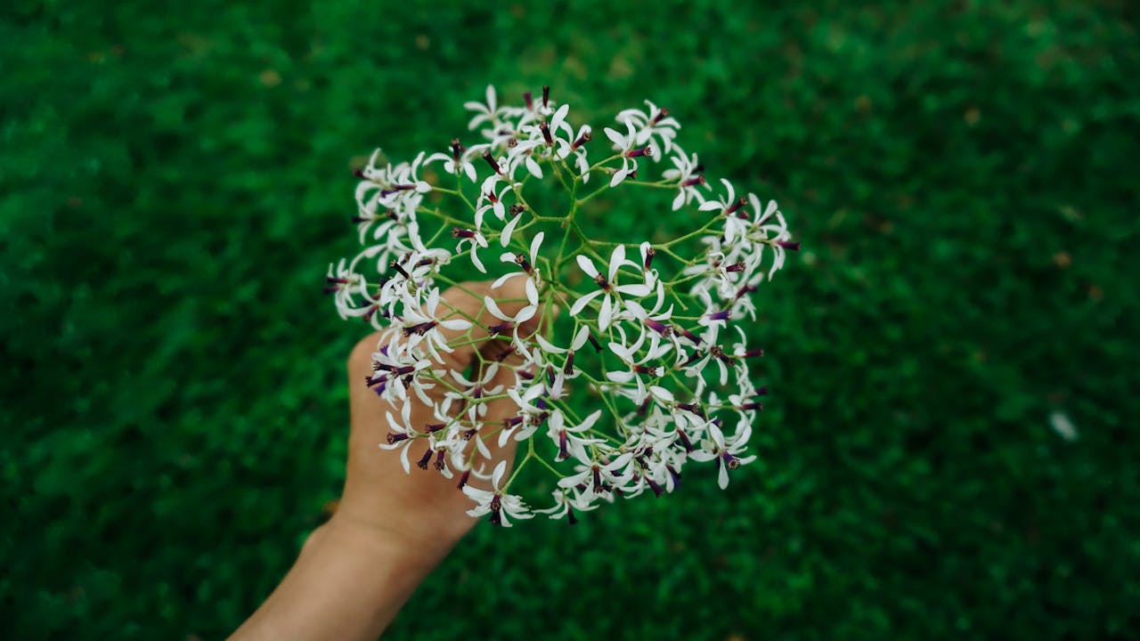 Sự thinh lặng khi người già im lặng