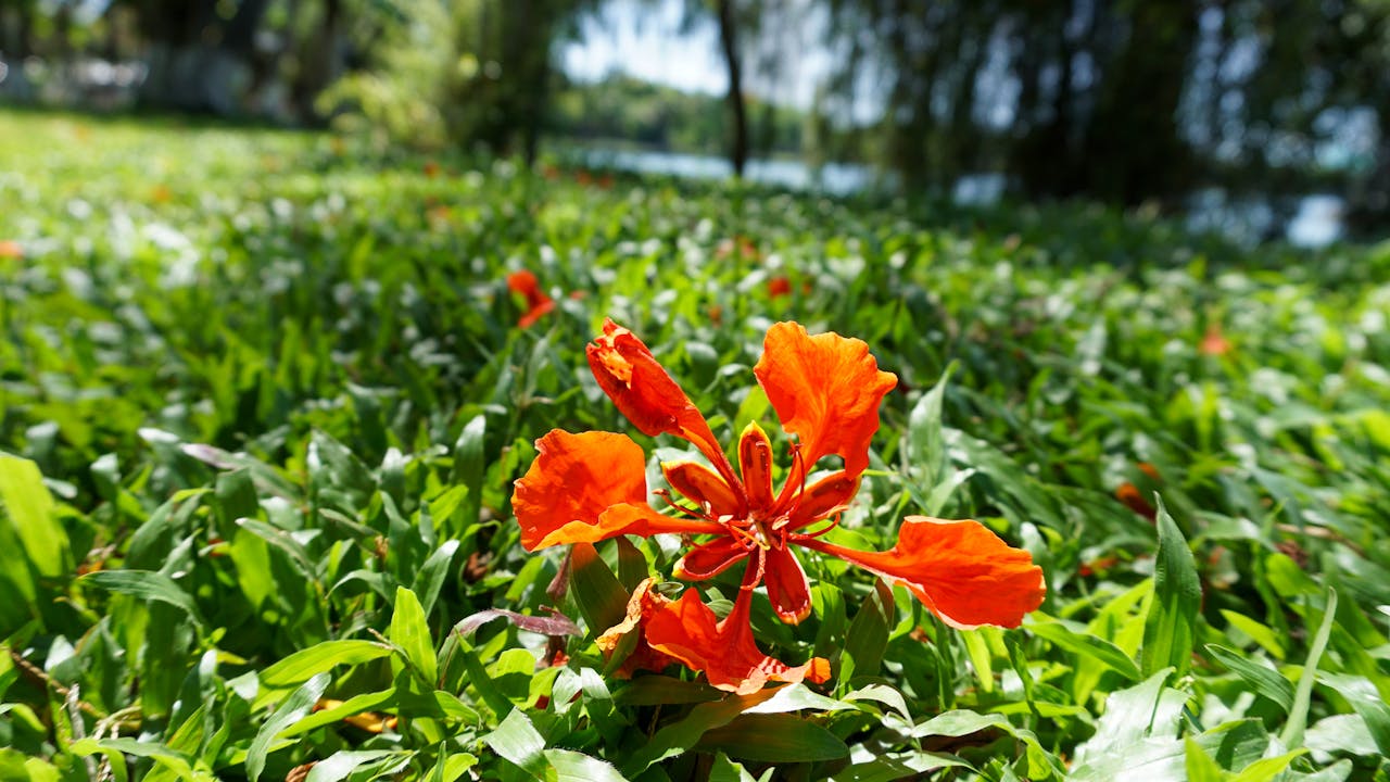 Thám tử lừng danh Conan | Chương 0776