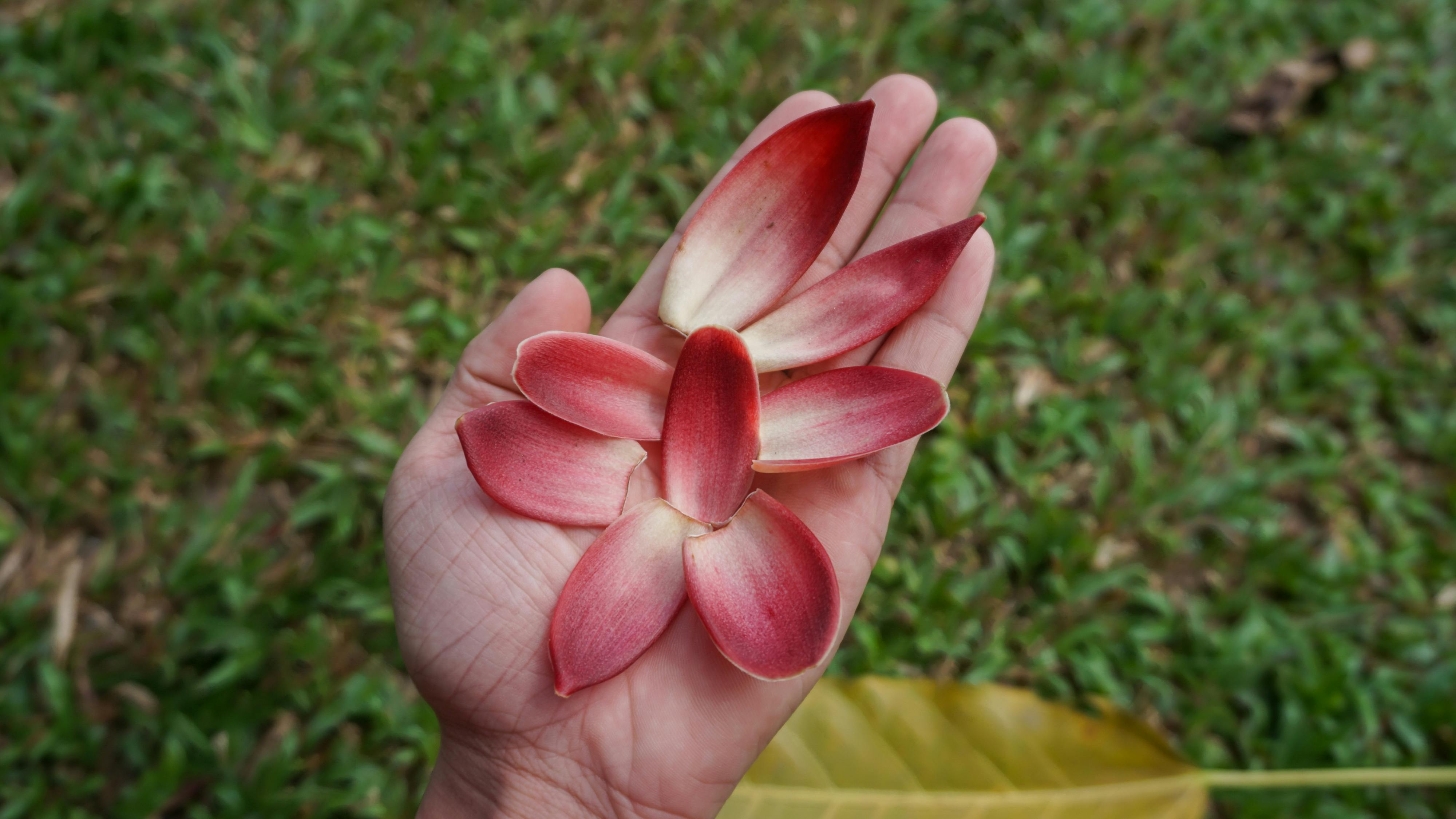 Hạnh phúc cầm tay | Chương 04