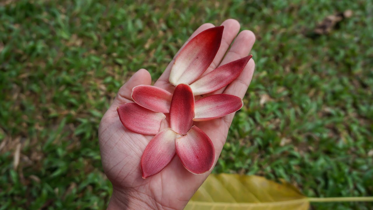 Thách thức nhân sự nhà hàng thành cơ hội