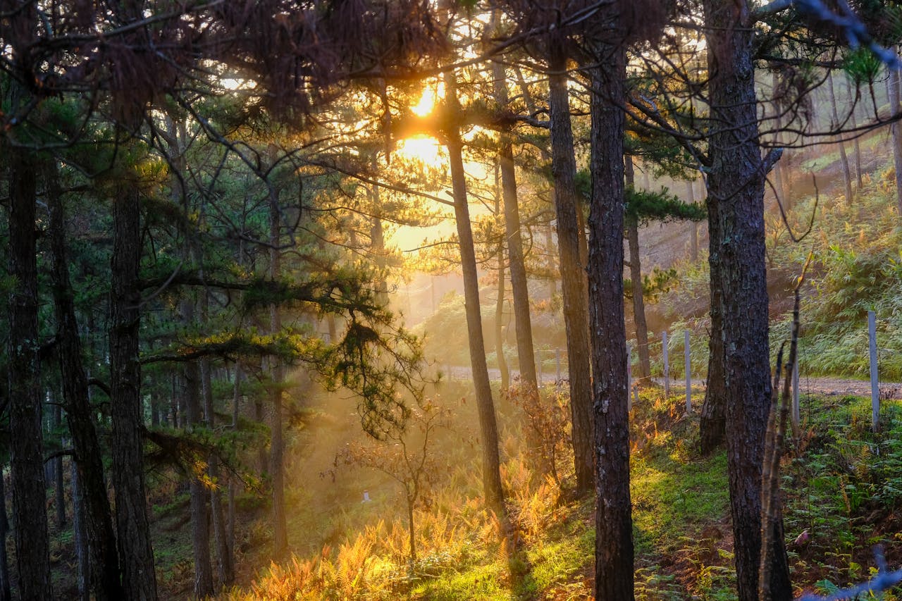 Bí quyết sử dụng ẩn dụ để làm câu chuyện sống động