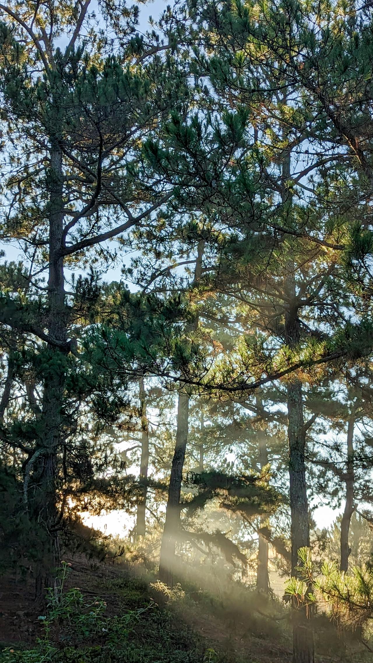 Đối mặt với nỗi sợ khi viết lách như thế nào?