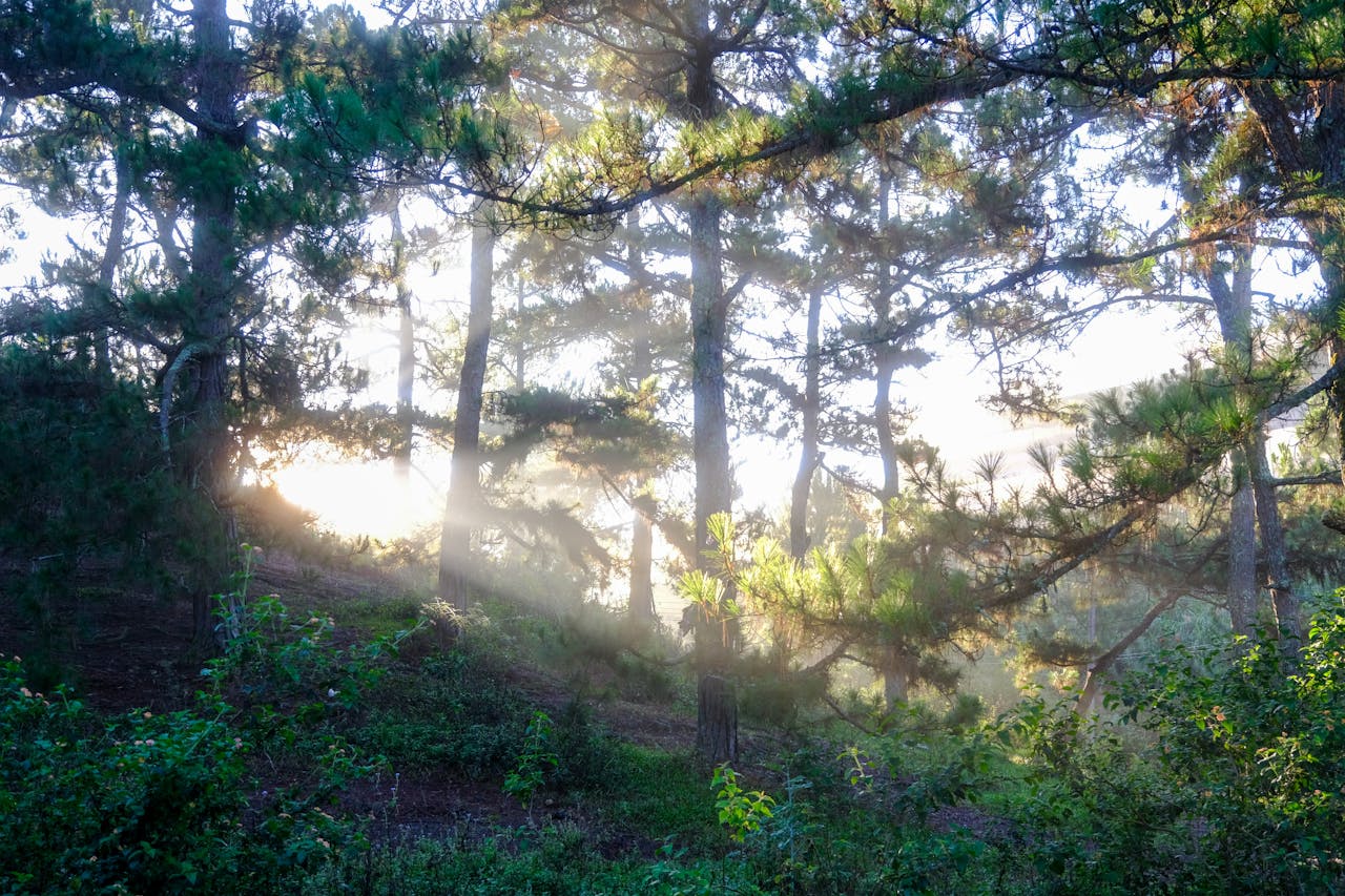 Tránh ngụy biện logic là siêu năng lực hàng ngày