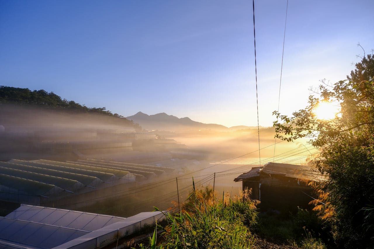 Chọn lọc tự nhiên có diễn ra trong vũ trụ