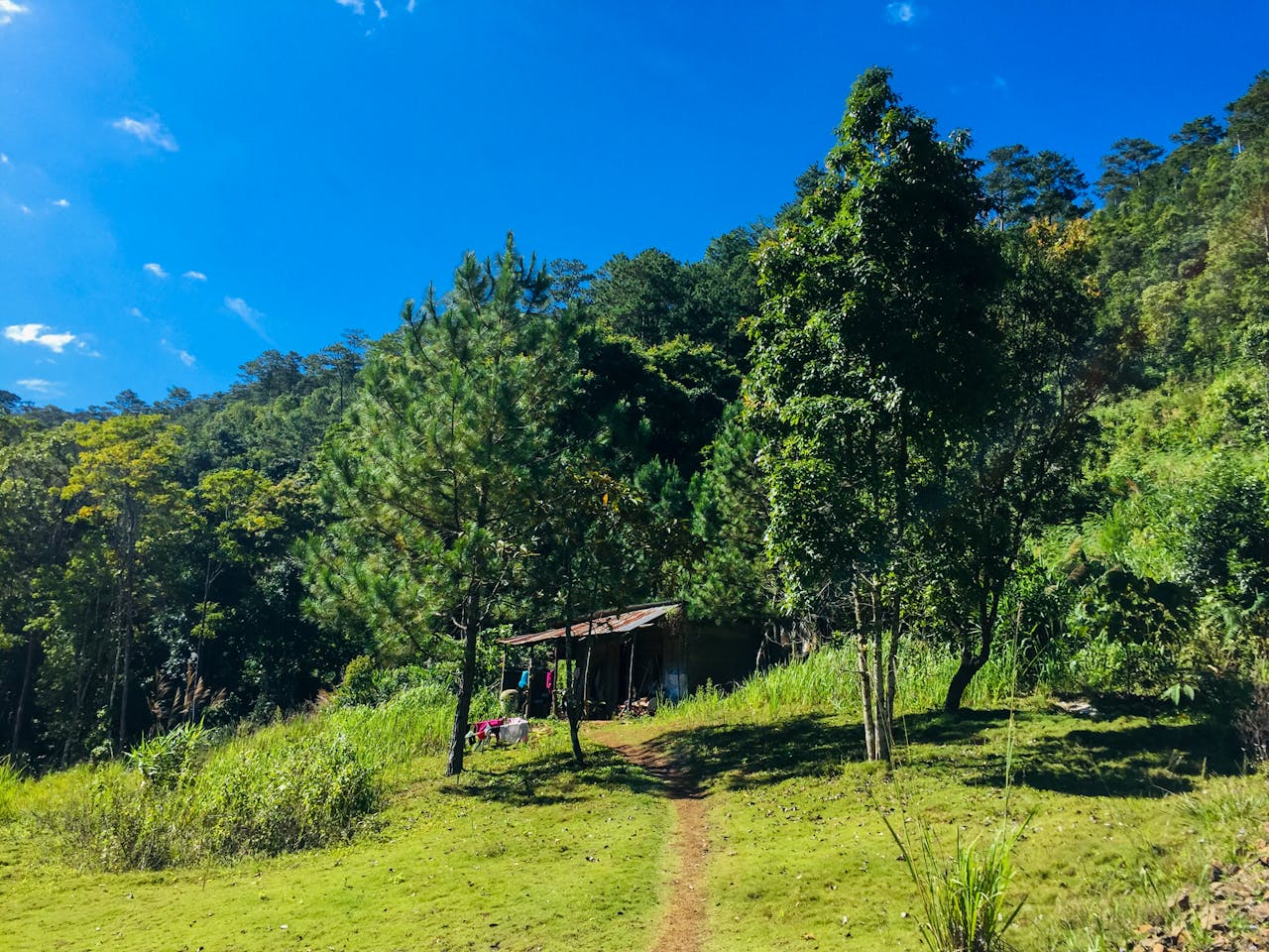 Hiểu về trái tim | Chương 06