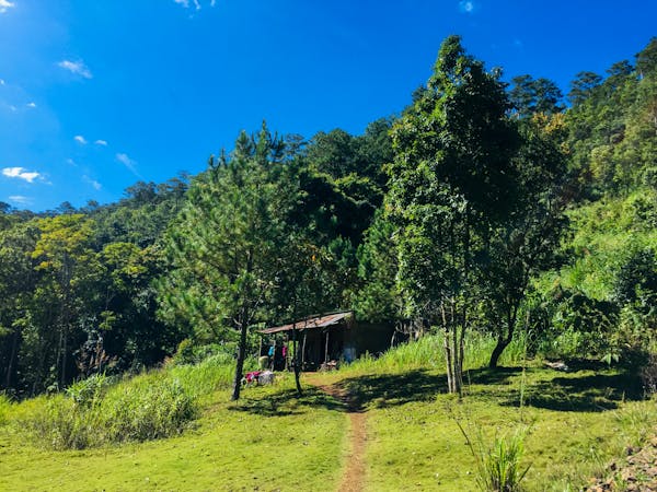 Trung tâm nghiên cứu văn học, phát triển nhà văn Việt Nam