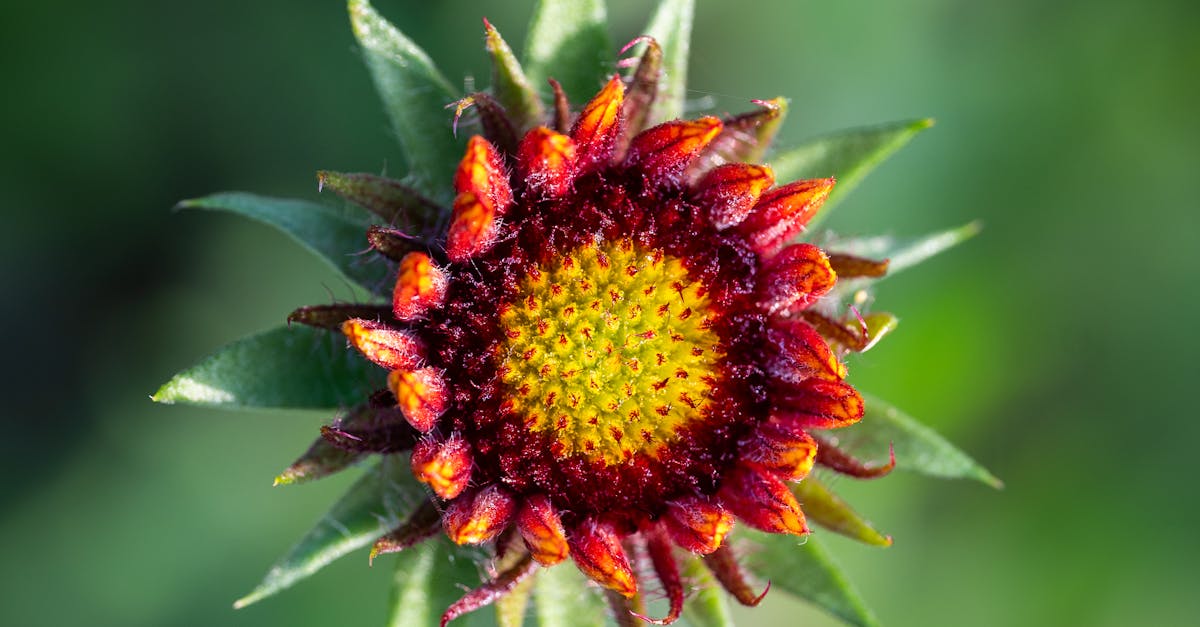 跳脫 讀書考試 框架 親子共創暑期生活挑戰記錄 轉換身心靈新體驗