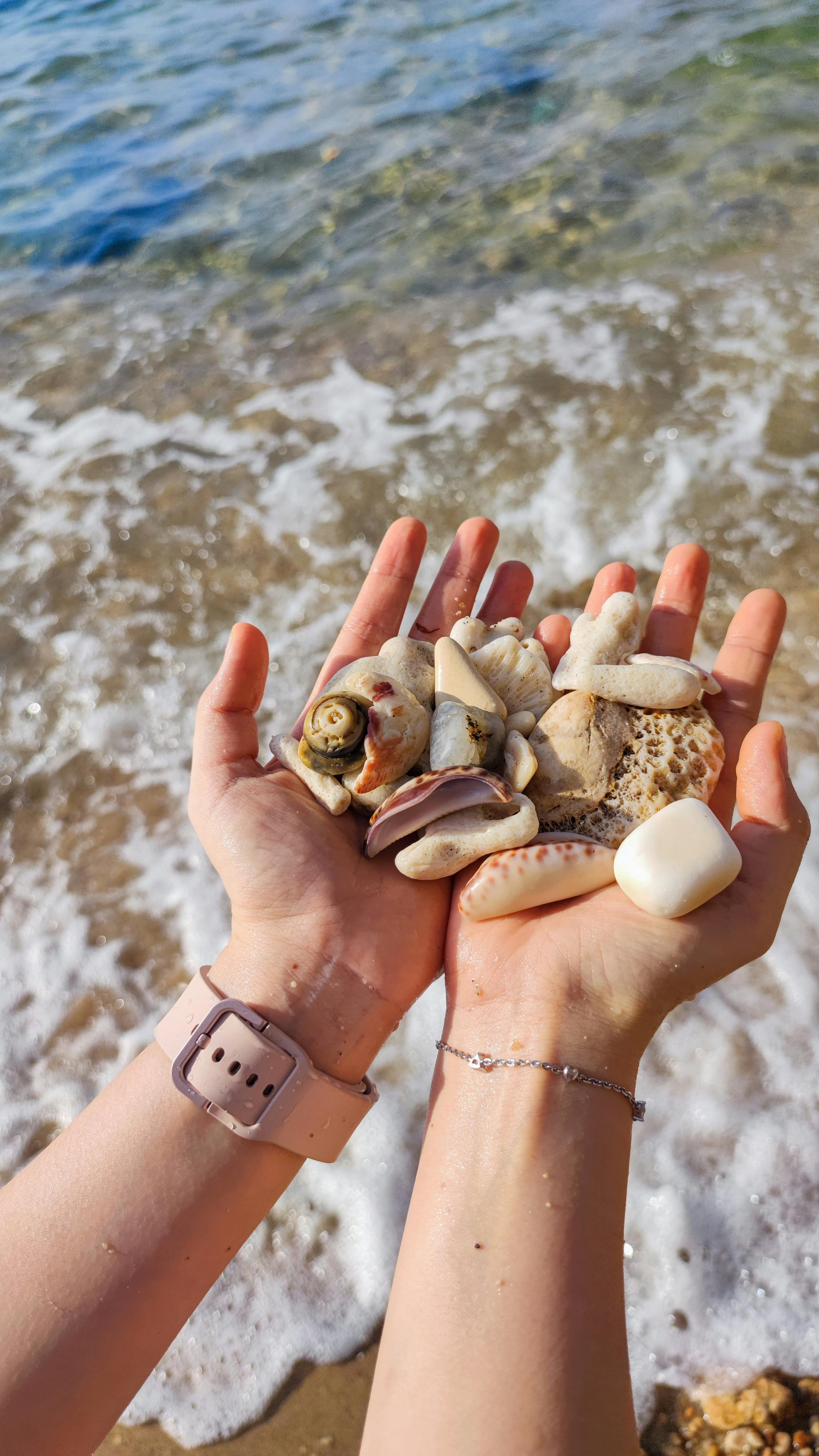 Mùa xuân vắng lặng | Chương 07. 827 – rachel carson, mua xuan vang lang, thu vien, nghien cuu, moi truong, anti plastic.