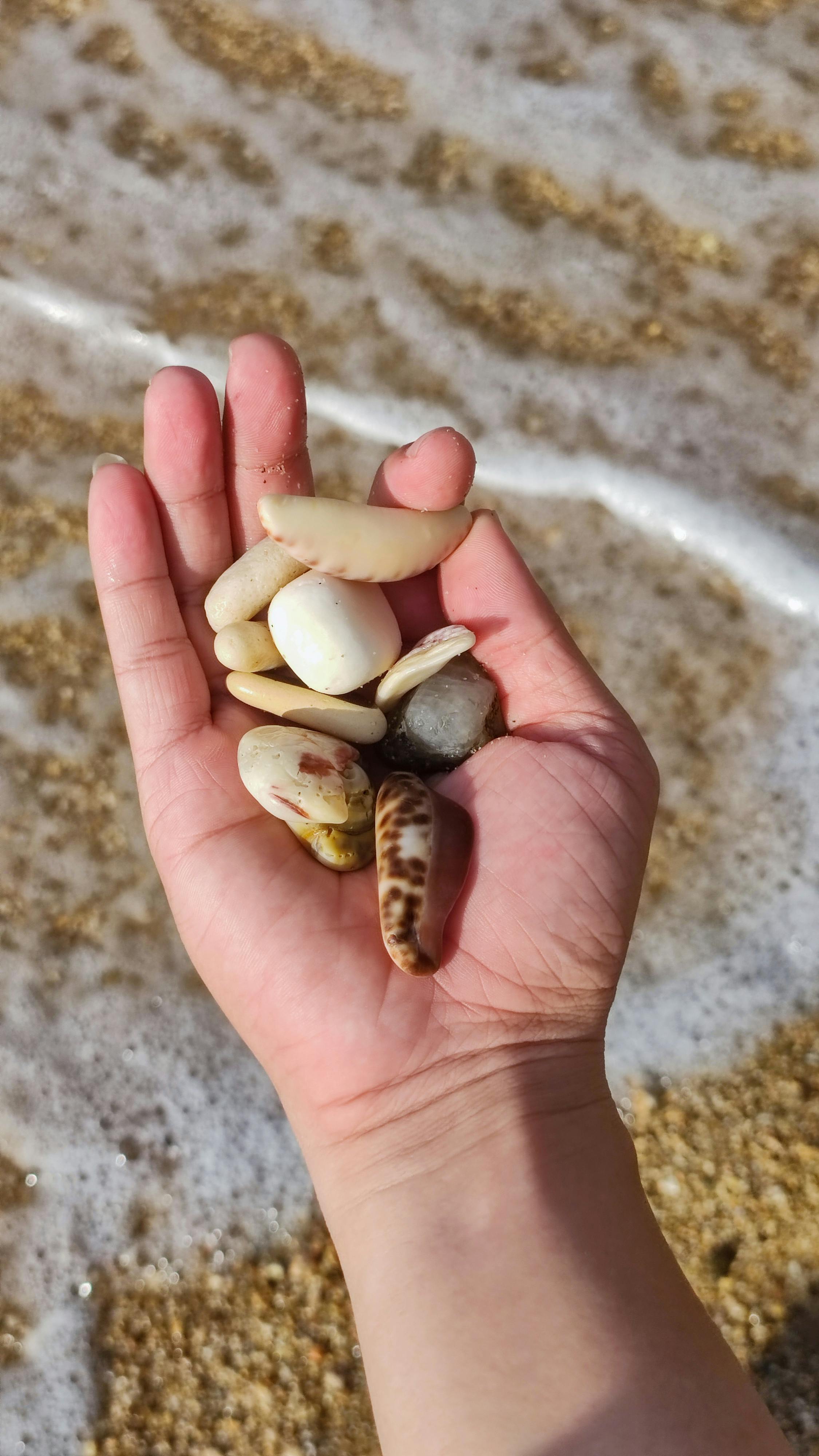 Cuộc săn lùng tàu tháng 10 đỏ | Chương 16
