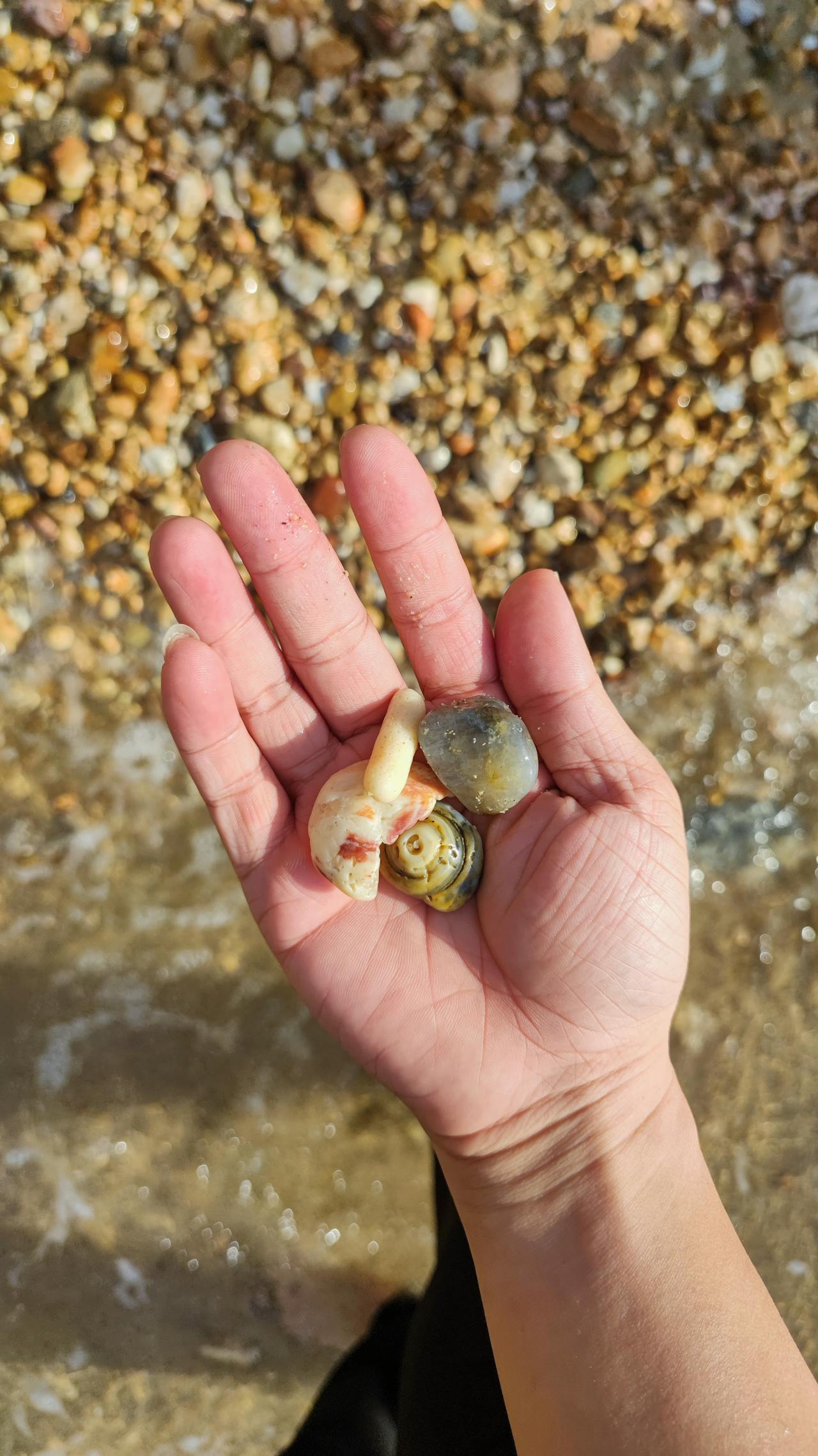 101 cách để tỷ tế bào chết trong bạn mỗi ngày