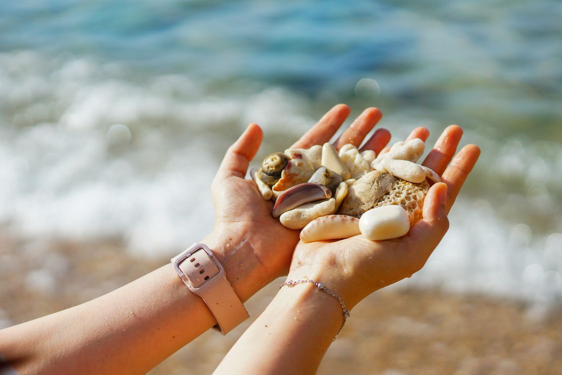 Seashells In Hand Hands Holding Seashells on Đà Nẵng Beach · Free Stock Photo
