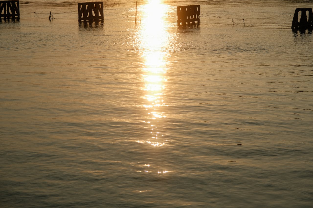 Xu hướng đảo chiều, thoái lui trong biểu đồ giá vàng