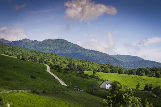 Idyllic mountain landscape featuring a serene cottage amidst lush green fields and forested hills under a blue sky.