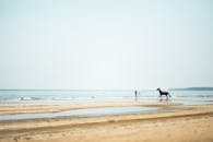 拉脱维亚科尔卡安静的海滩上有马和人的宁静海滨场景