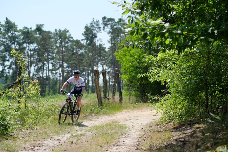 Cyclist riding through a lush green forest on a sunny day
