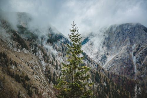 Montagne Couverte De Nuages