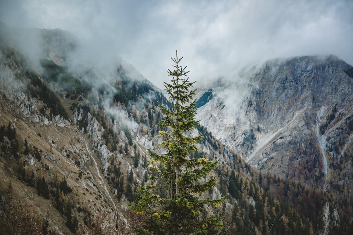 雲に覆われた山