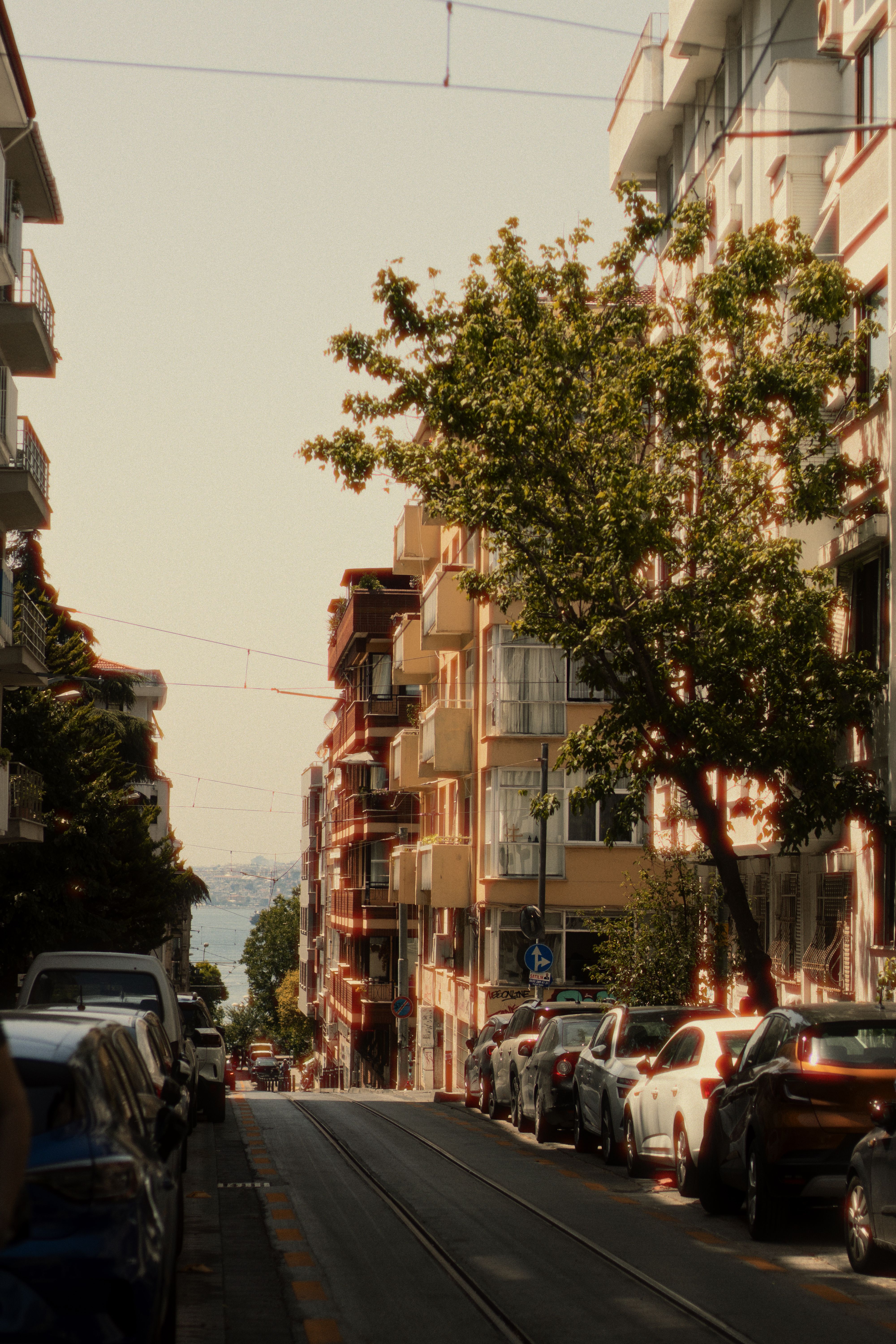Charming Street View in Istanbul with Tree Lined Walk · Free Stock Photo