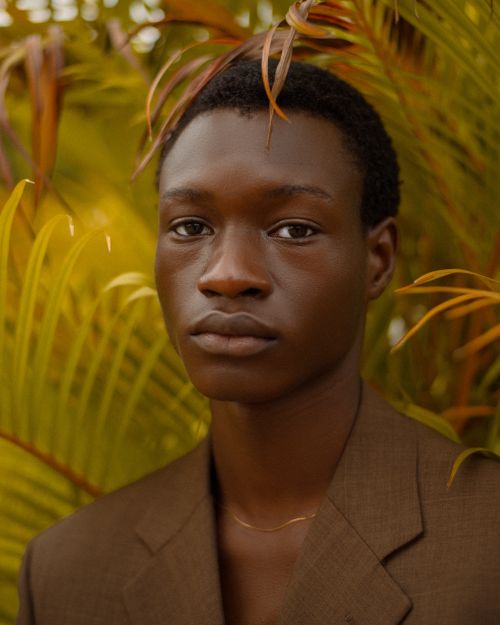 Free Striking portrait of a black male model amidst vibrant tropical foliage, capturing natural beauty and fashion. Stock Photo