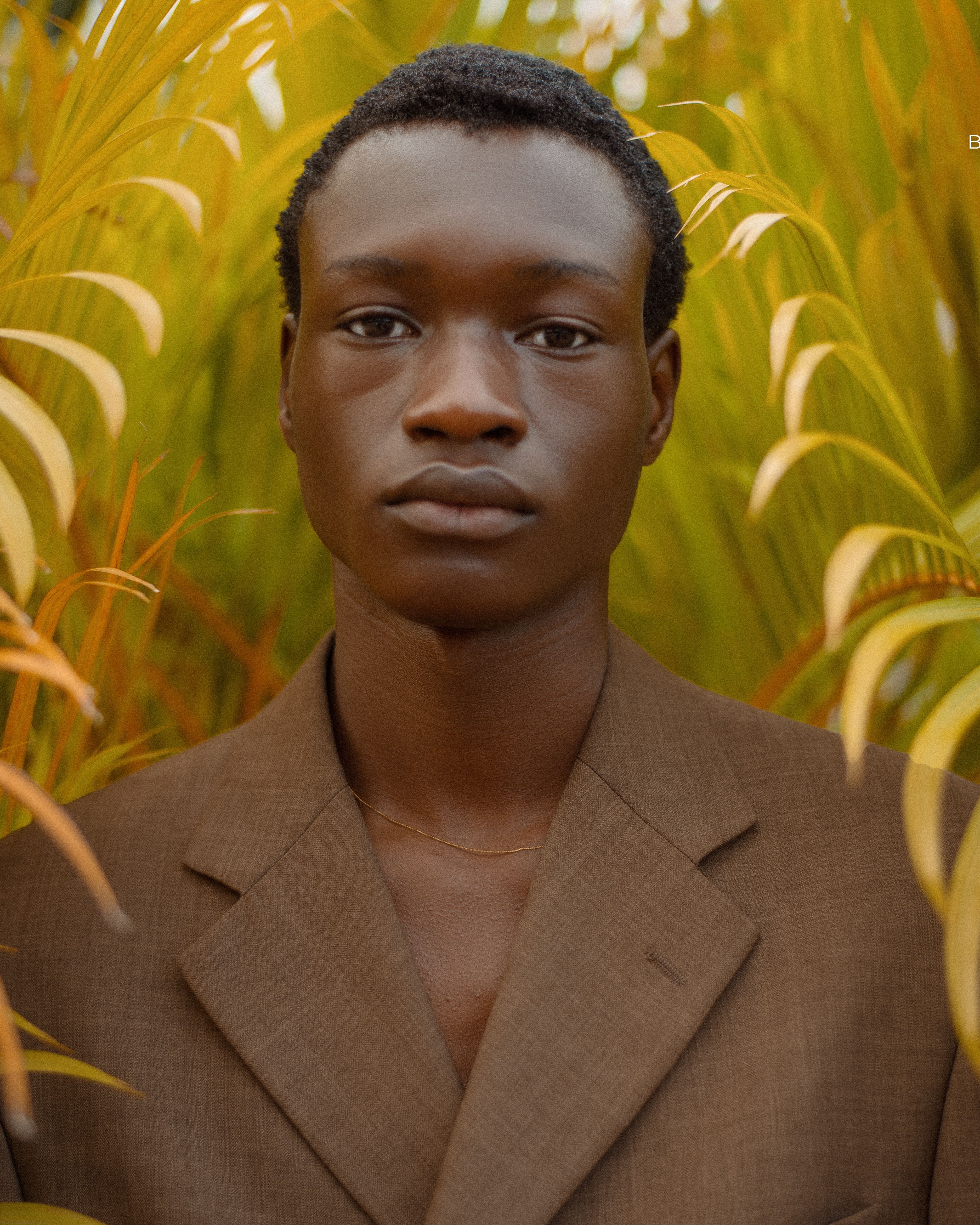 Portrait of an elegant young man in brown suit surrounded by lush tropical plants.