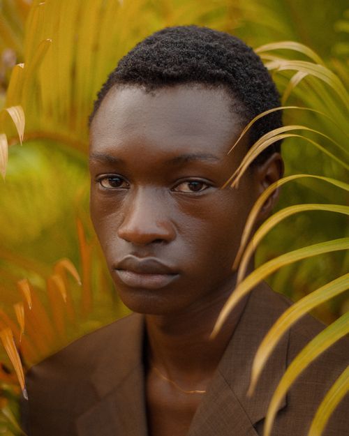 Free Intimate portrait of a man surrounded by lush tropical leaves, conveying a serene and natural vibe. Stock Photo