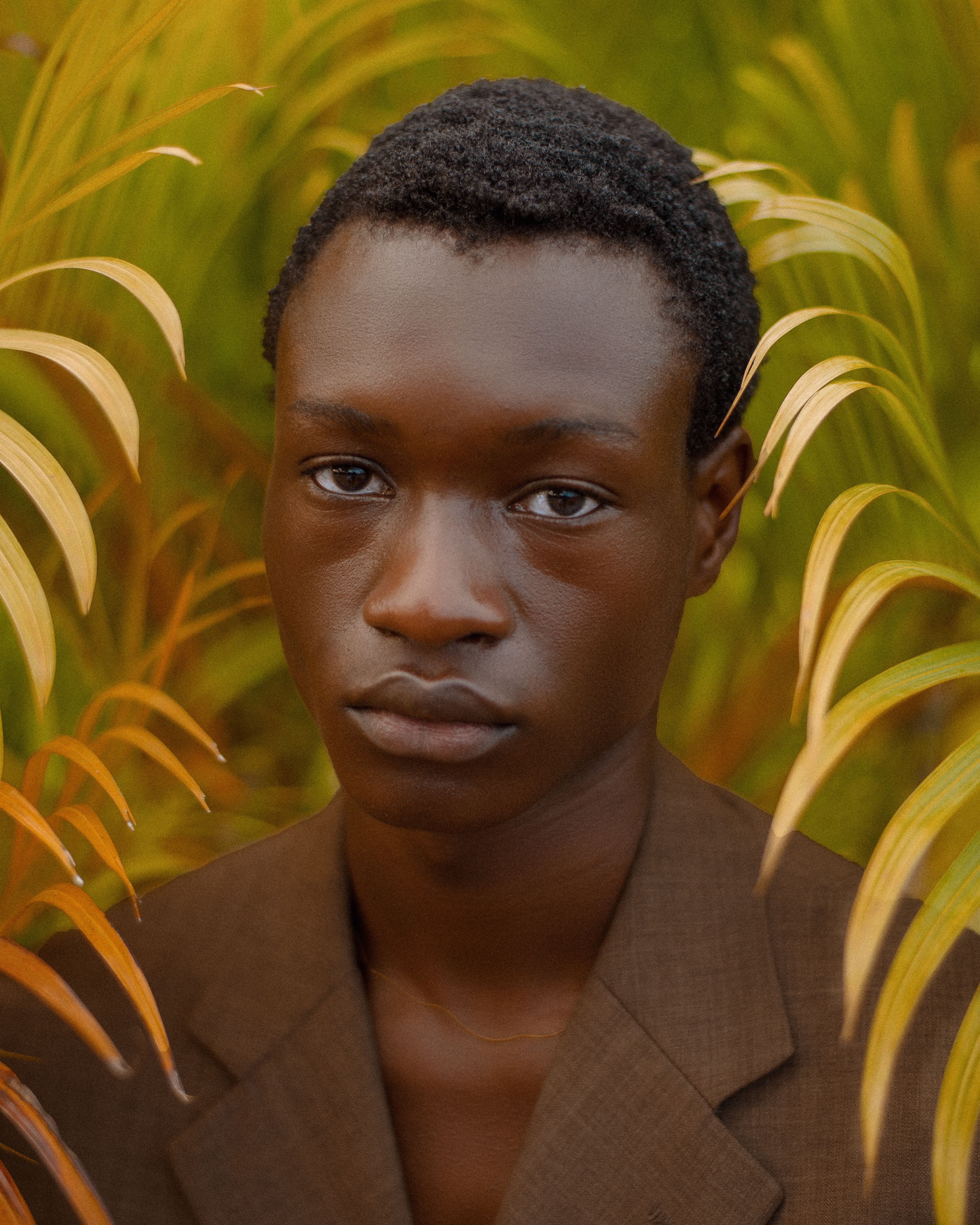 Close-up portrait of man surrounded by tropical leaves with soft, warm tones.
