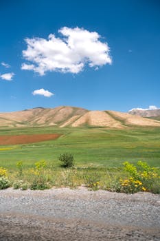 Serene mountain scenery with lush fields and scattered clouds under a bright blue sky.