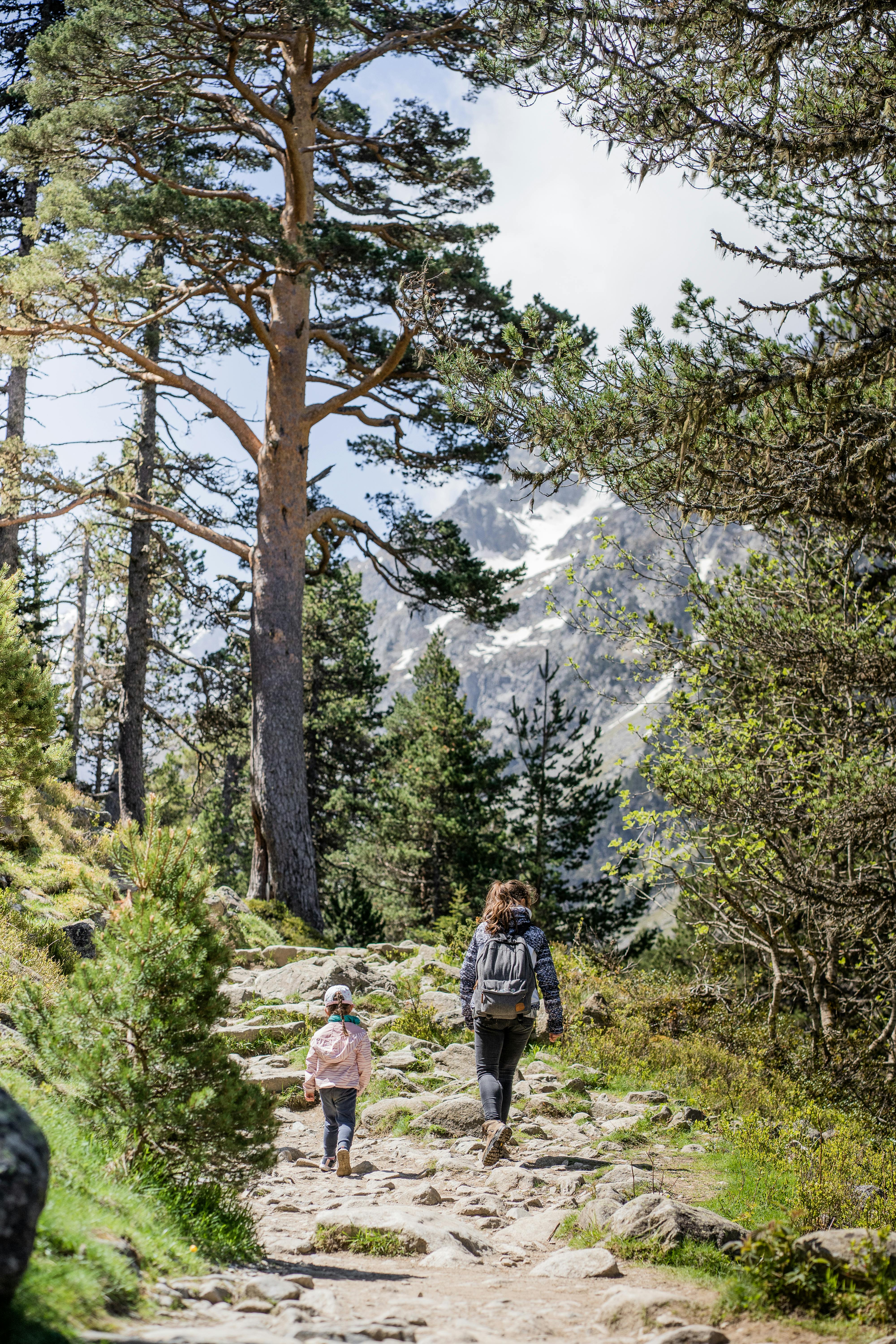 Etika Mendaki Gunung: Biar Alam Tetap Lestari!