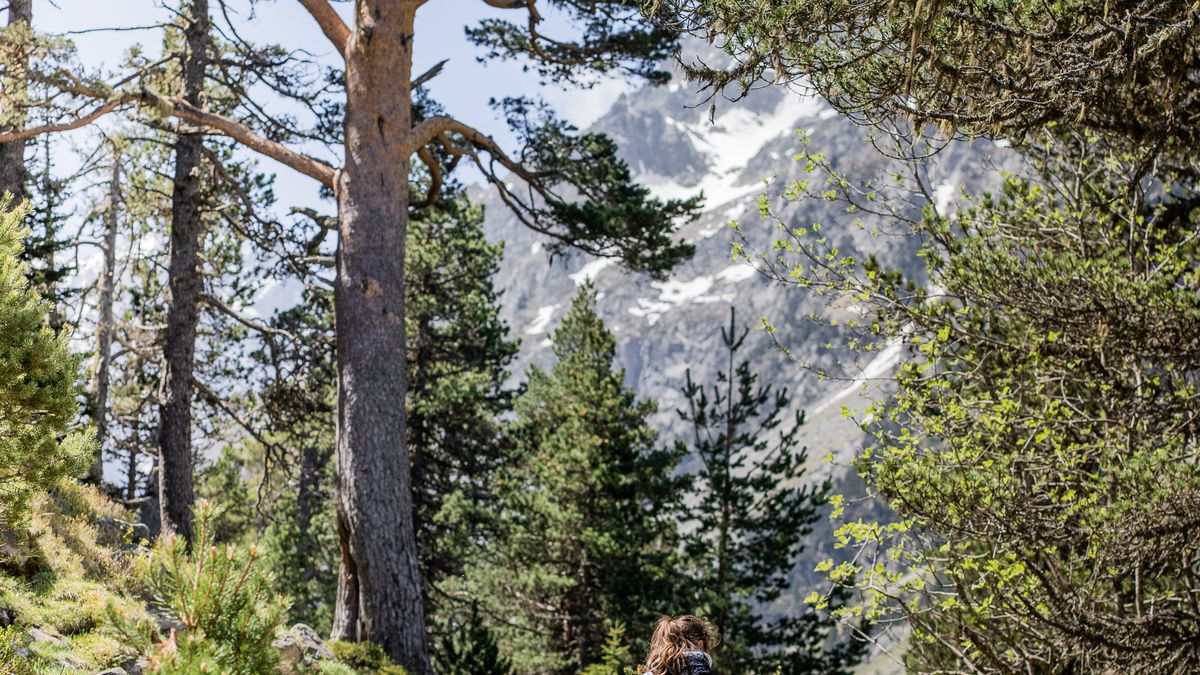 Itinéraires de randonnée en Cévennes pour les familles en 2026 - illustration
