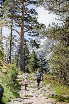 A mother and child hike up a forest path with mountain views, capturing nature and adventure.
