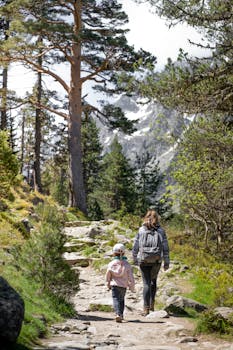 A mother and child enjoy a hike on a forest trail with a mountainous backdrop.