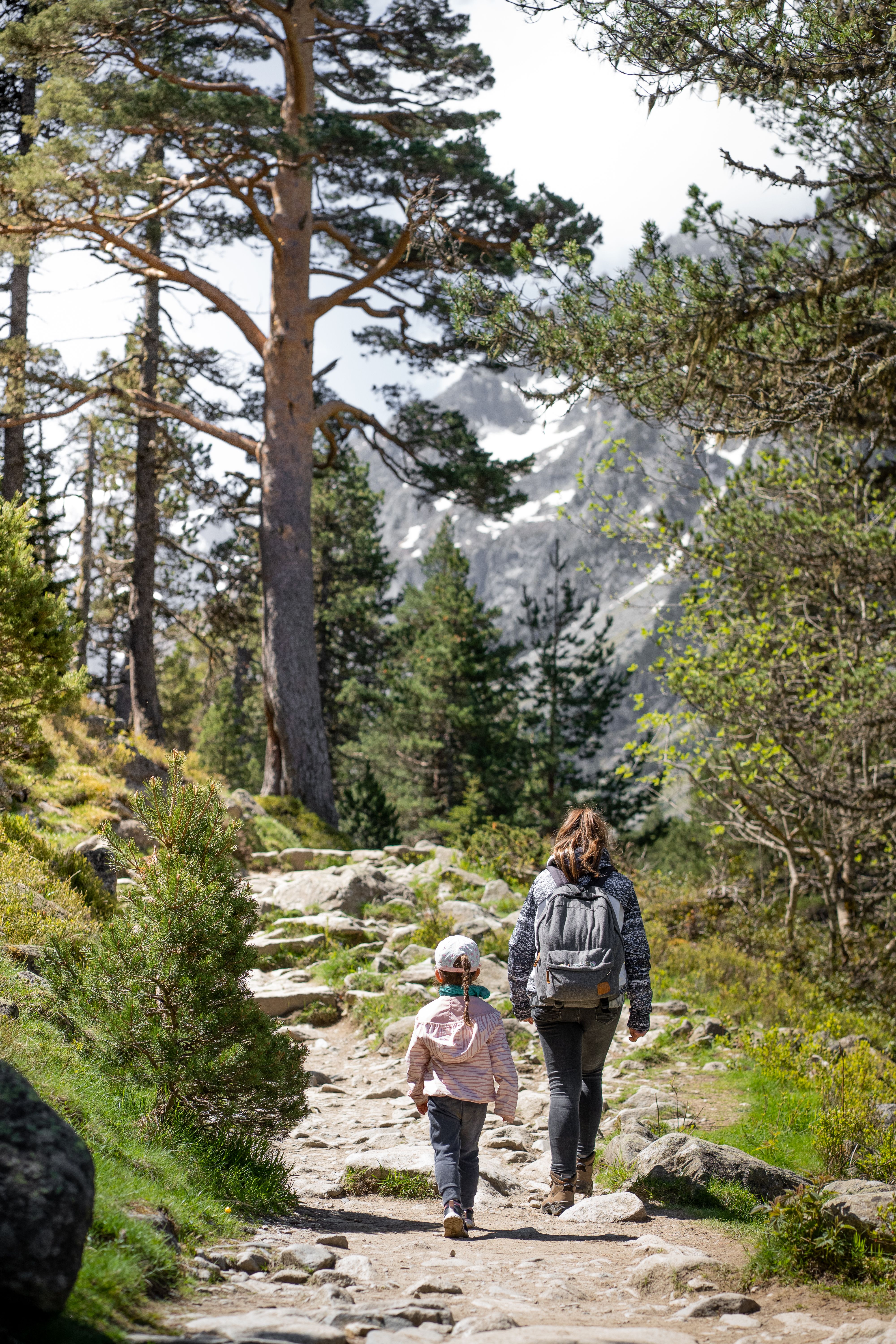 Mother and Child Hiking in Mountain Forest · Free Stock Photo
