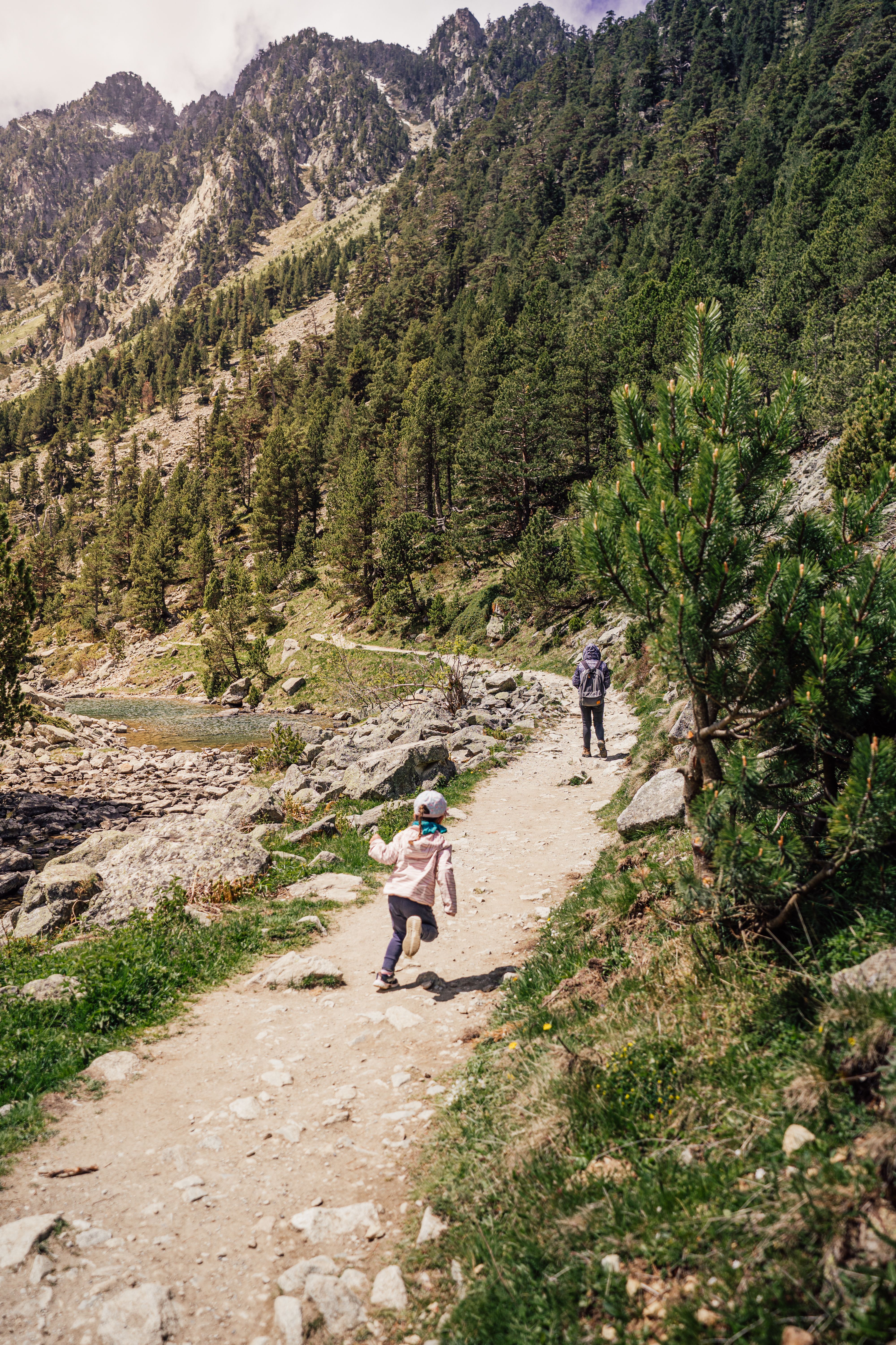 Itinéraires de randonnée en Cévennes pour les familles en 2026 