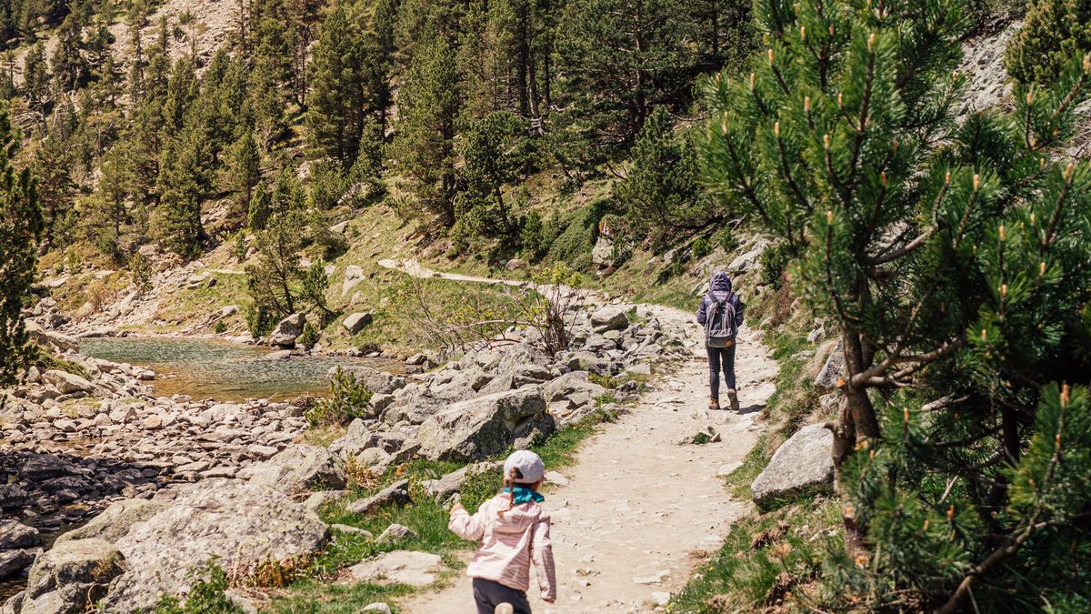 Itinéraires de randonnée en Cévennes pour les familles en 2026
