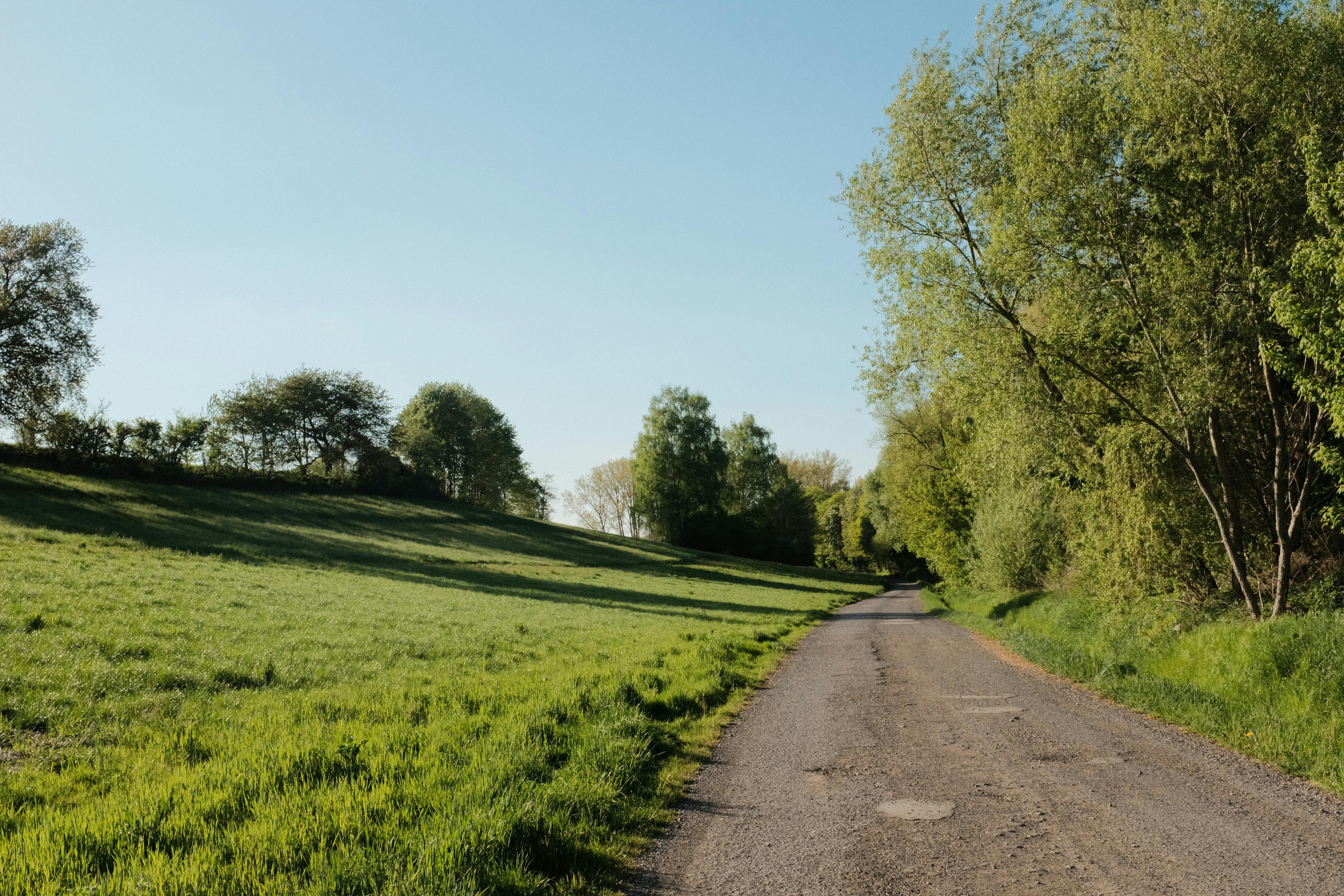 Lamdscape Fields Photos, Download The BEST