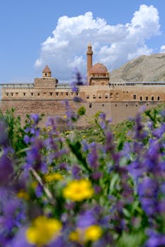 A beautiful view of a historic fortress with vibrant purple and yellow flowers in the foreground.