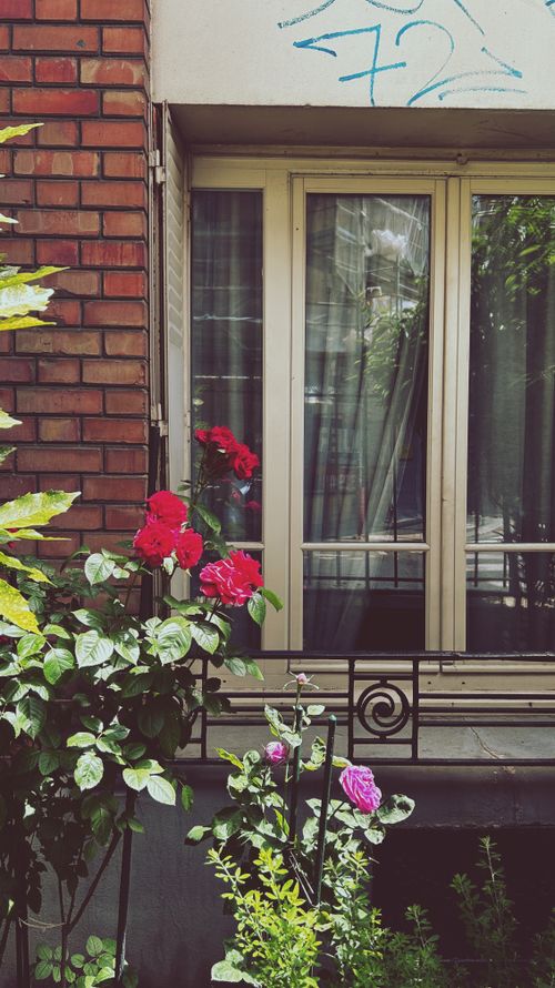 Free A charming Parisian window decorated with vibrant red roses, conveying a romantic urban vibe. Stock Photo