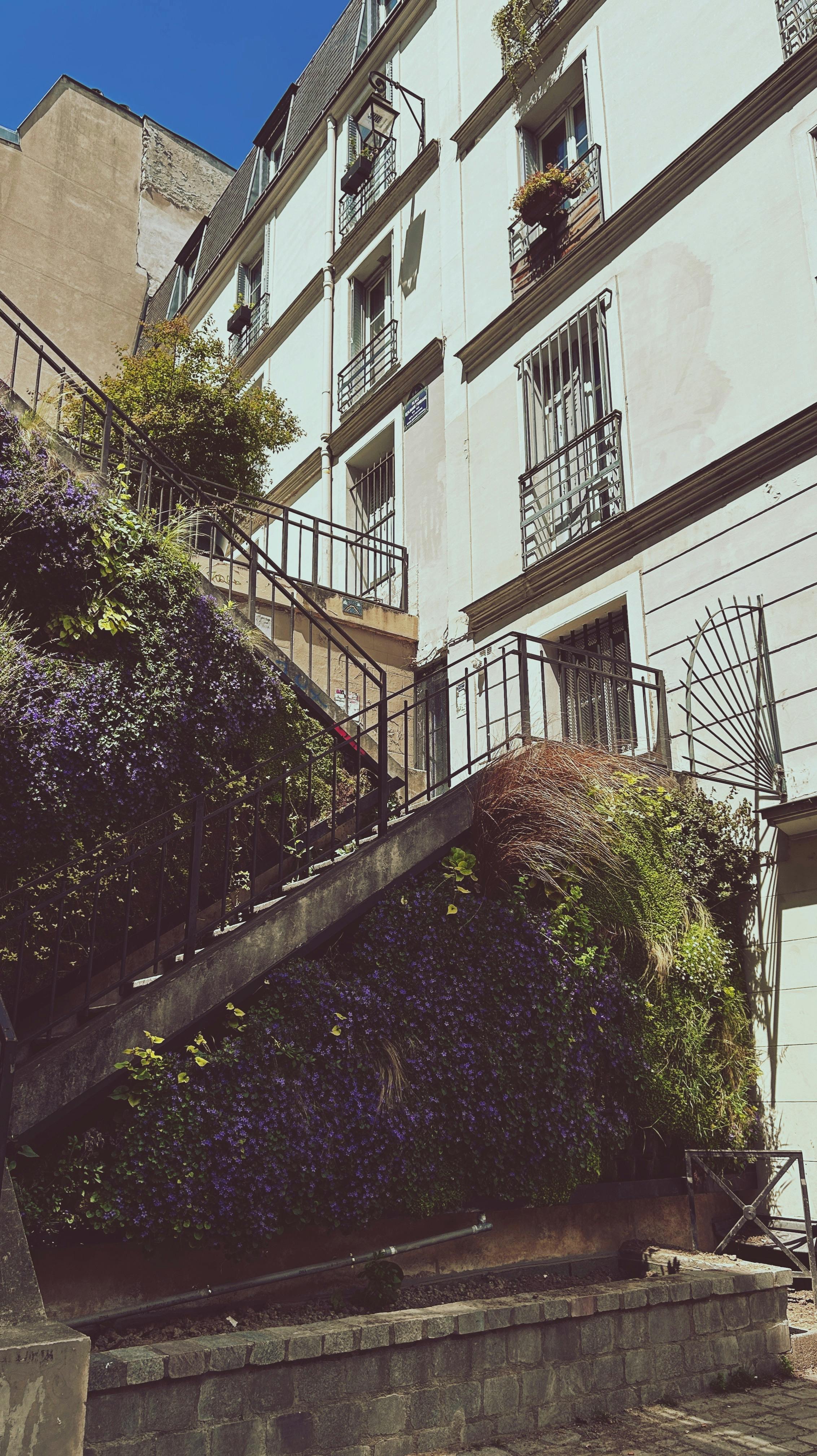 Safari urban în Nairobi: cum să simți viața orașului