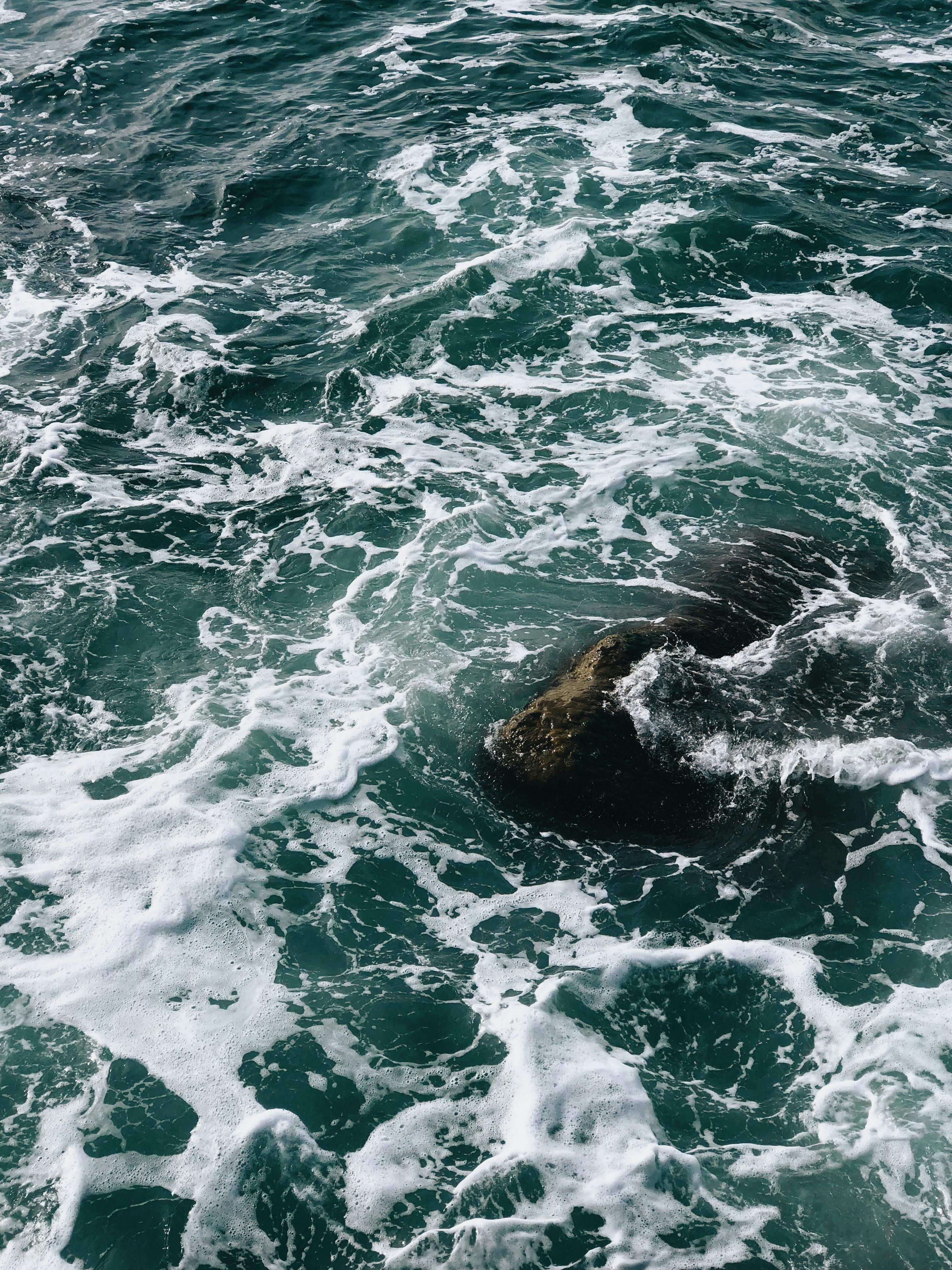 A dramatic capture of churning ocean waves breaking over a solitary rock.