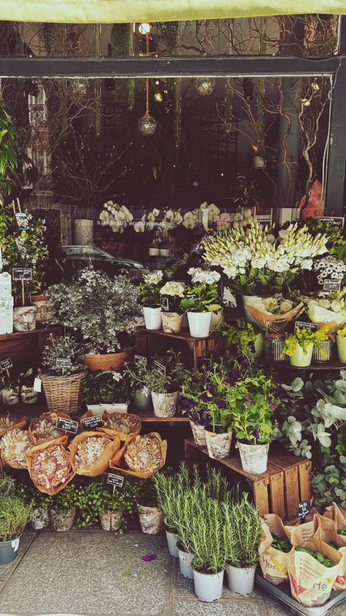 Free Explore a vibrant Parisian flower shop showcasing an exquisite variety of blooms. Stock Photo