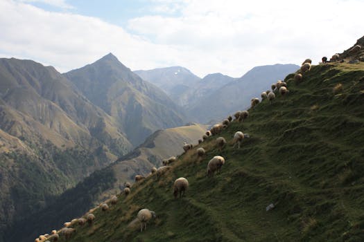 A herd of sheep grazes on a lush green mountain slope, set against a stunning backdrop of rugged peaks under a partly cloudy sky.