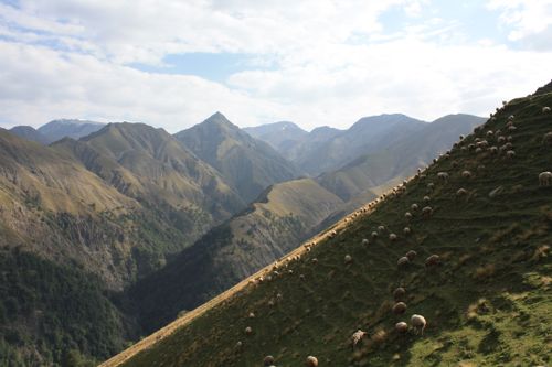 Free Idyllic view of lush mountains and grazing sheep under a clear sky. Stock Photo