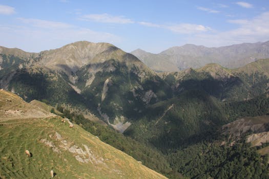 Serene mountain landscape featuring lush greenery and grazing sheep under a blue sky.