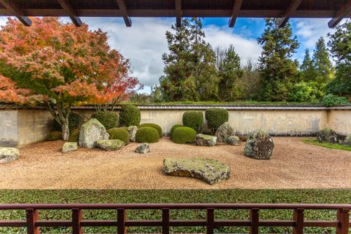 Free Peaceful Japanese garden featuring autumn foliage and rock formations, ideal for meditation and tranquility. Stock Photo