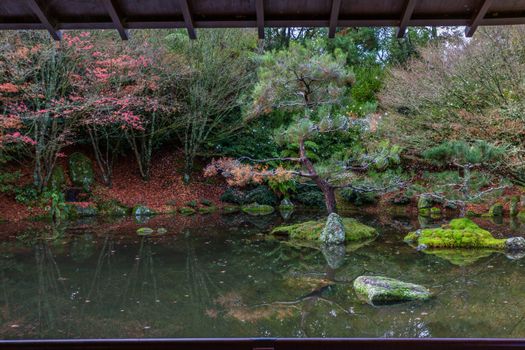 Tranquil Japanese garden with trees reflecting in a calm pond, featuring autumn colors and mossy stones.