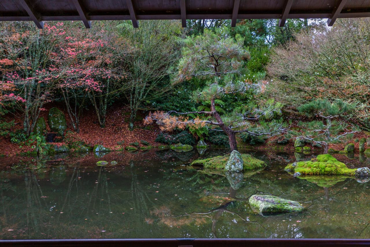 tranquil japanese garden with trees reflecting in a calm pond featurin