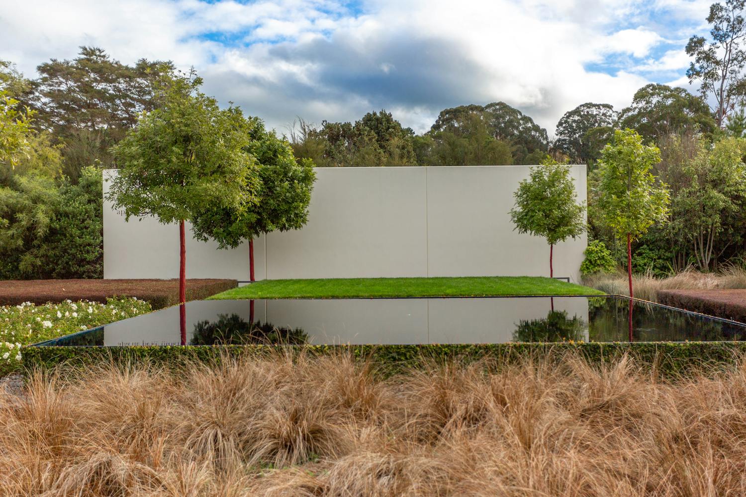 Profesjonalny projekt ogrodu