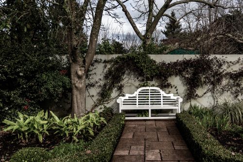 Free White garden bench surrounded by lush greenery and bare trees, offering a peaceful winter retreat. Stock Photo